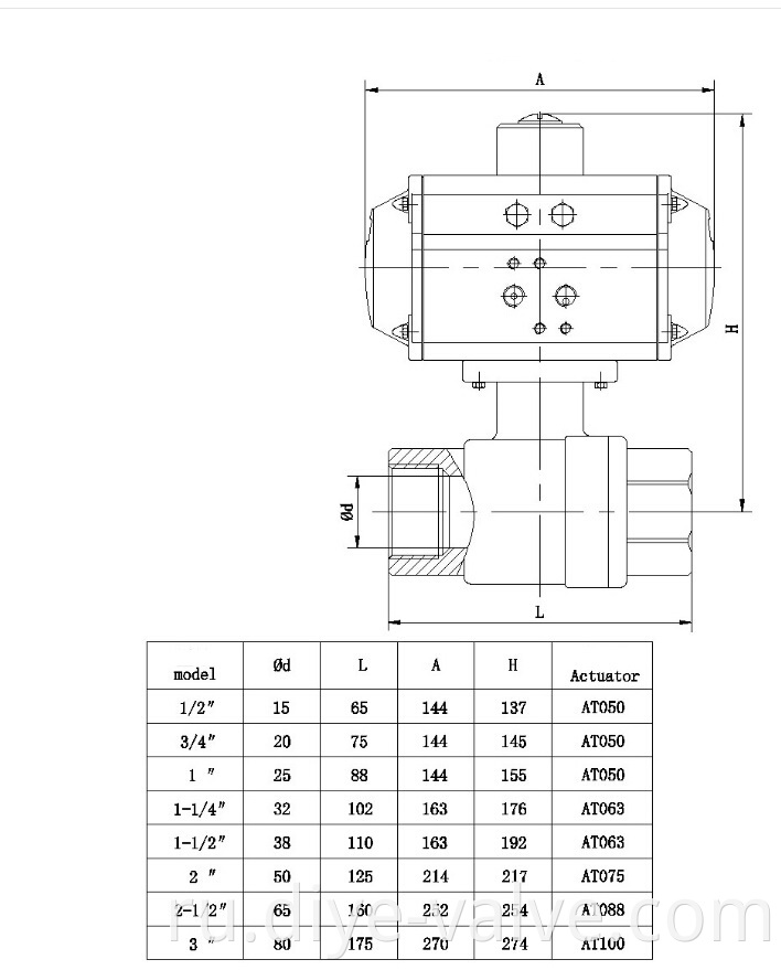 Stainless Steel 2 Piece Ball Valve Acting-Pneumatic